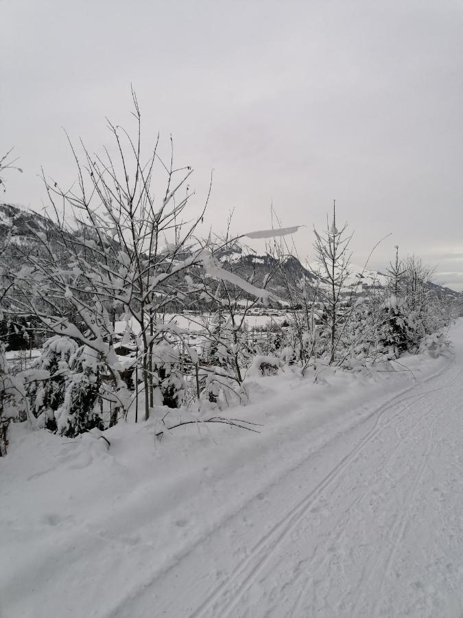 Ferienwohnungen Vordergriess Hochfilzen Exteriör bild