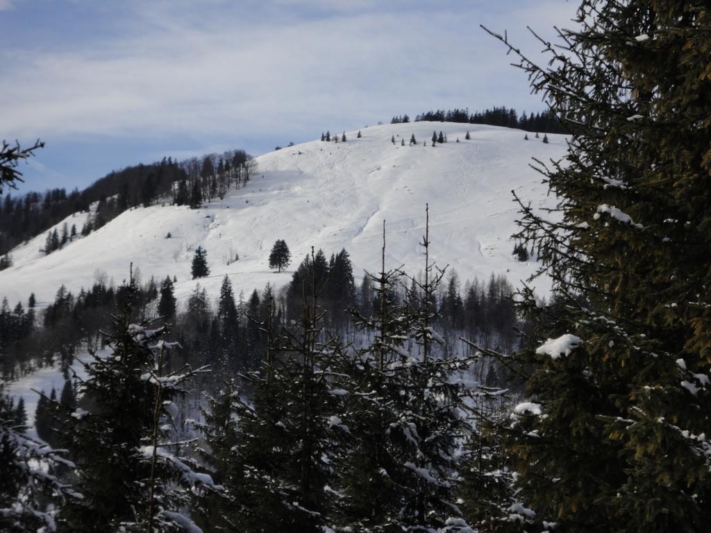 Ferienwohnungen Vordergriess Hochfilzen Exteriör bild