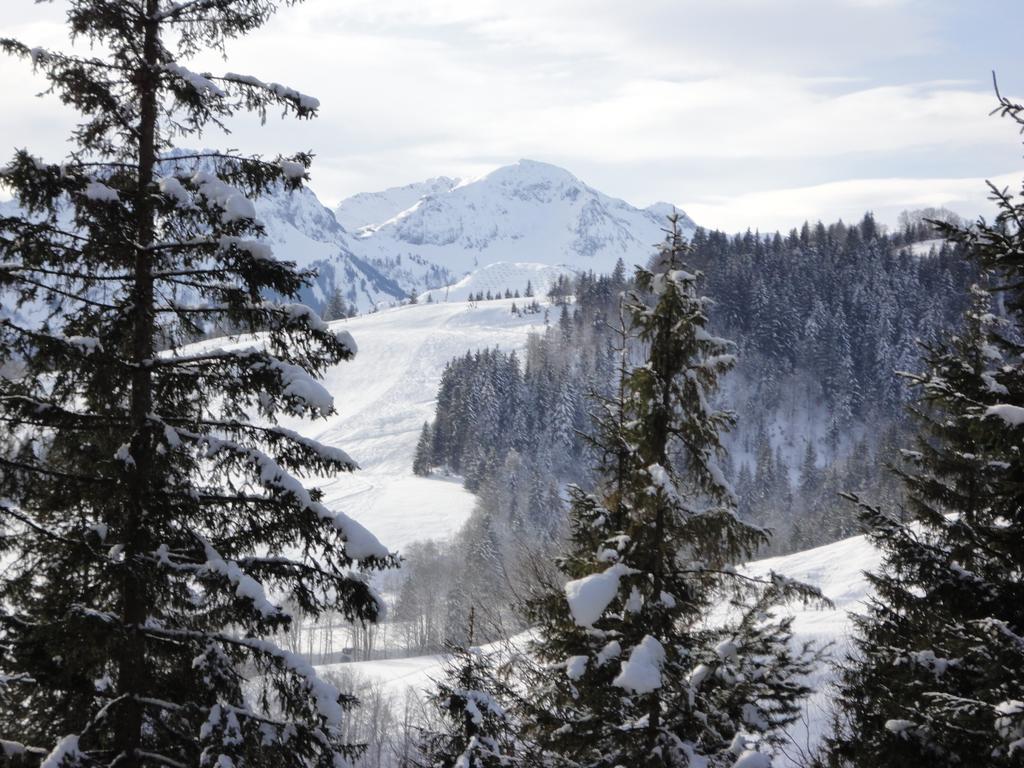 Ferienwohnungen Vordergriess Hochfilzen Exteriör bild