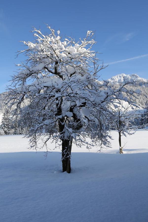 Ferienwohnungen Vordergriess Hochfilzen Exteriör bild